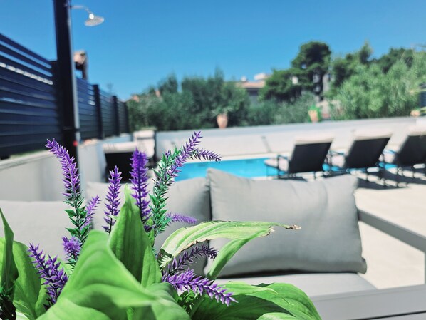 Property grounds - Villa Lungomare -Charming 4-bedroom house with WiFi and AC in superb Zadar (Zadar)