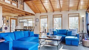 TV, fireplace, books, computer monitors