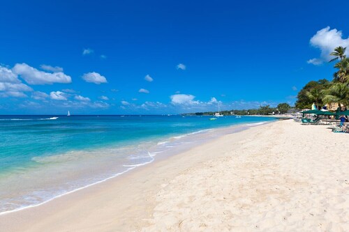 Poolside Home, Short Walk to Beach - Turtle View 10