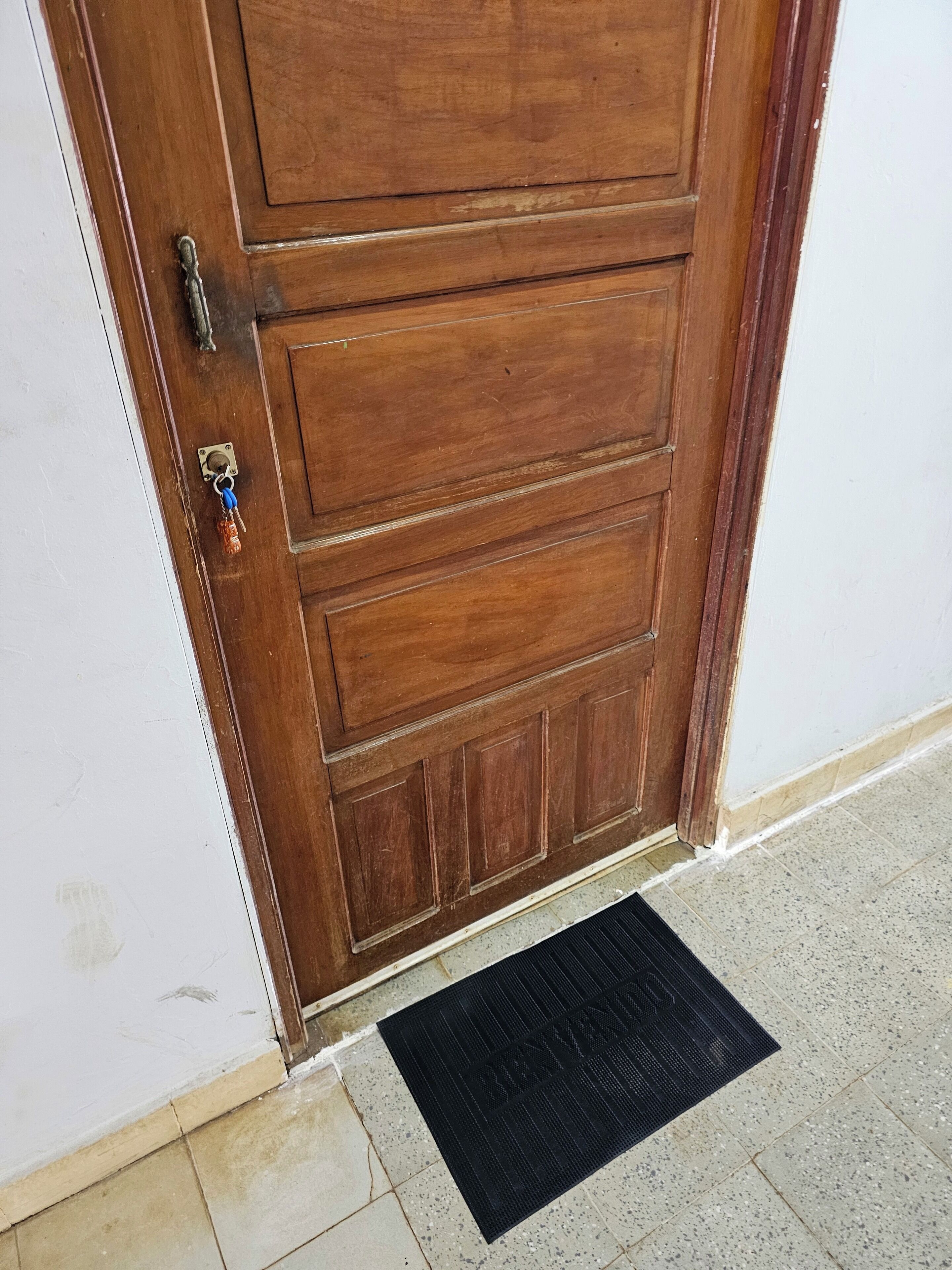 A wooden door with a metal handle and a keyhole.