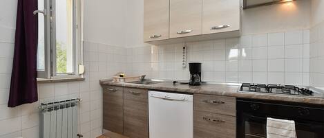 Fridge, oven, stovetop, dishwasher