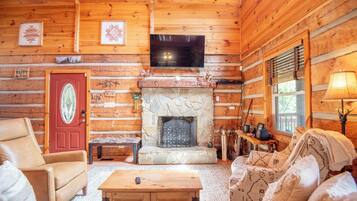 TV, fireplace, DVD player, books