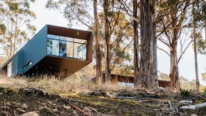 A modern, cantilevered building with large windows, surrounded by eucalyptus trees and natural landscape. - Mountain Top Snug, House Itas (Snug)