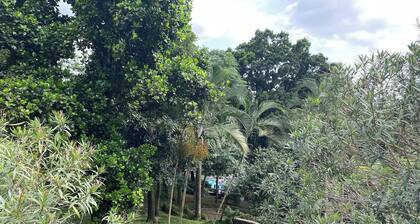 Spacious Farm With Swimming Pool, Parking, Woods and Rivers