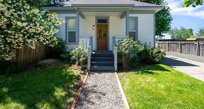 White Lotus - Minutes to Downtown