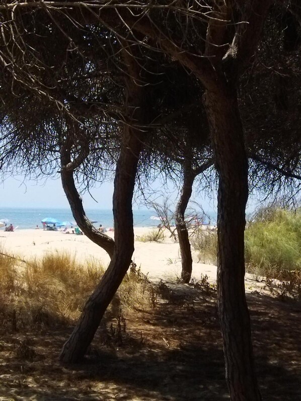 Ubicación cercana a la playa