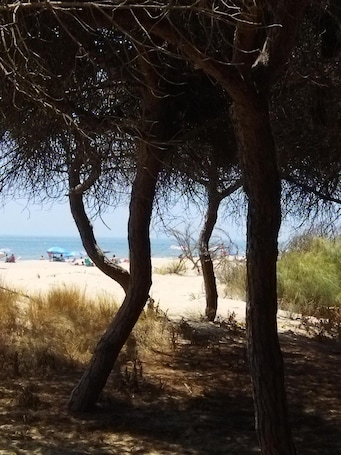 Beach nearby. Holiday Home 'Sol Y Mar' with Shared Terrace and Wi-Fi