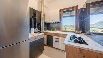 Fridge, oven, stovetop, coffee/tea maker