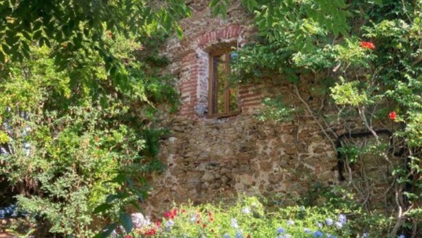 Een stenen gebouw met een raam, omringd door weelderige begroeiing en verschillende planten.