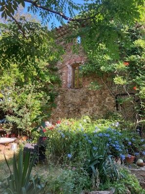Un bâtiment en pierre doté d’une fenêtre, entouré d’une végétation luxuriante et de diverses plantes.