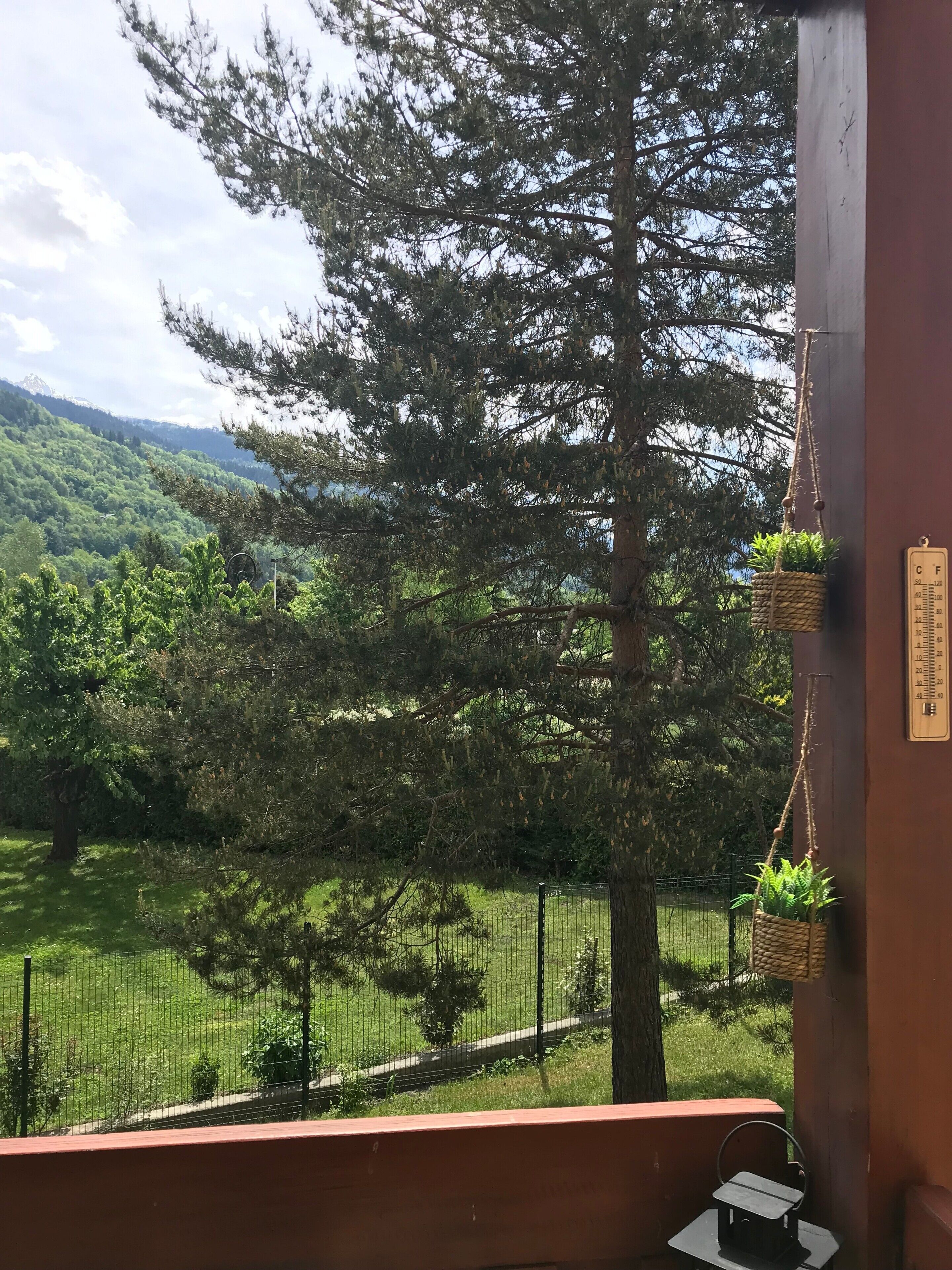 A balcony with a view of a forest and mountains, a hanging plant, and a thermometer on the wall.