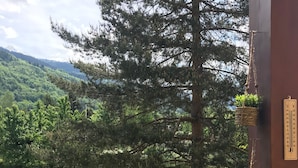 A balcony with a view of a forest and mountains, a hanging plant, and a thermometer on the wall.
