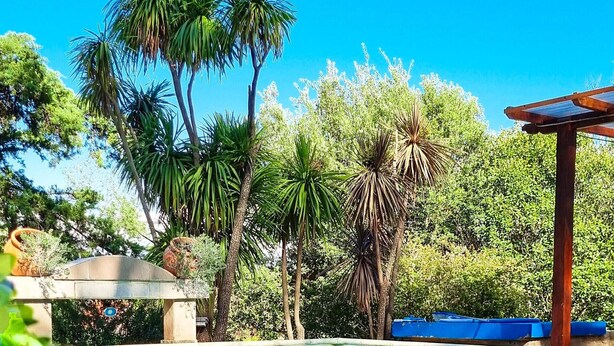 Kolam renang terbuka bermusim 