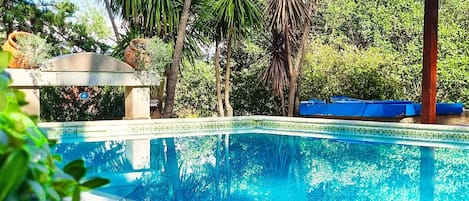 Piscine extérieure en saison