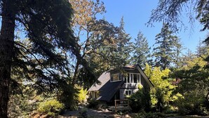 A house surrounded by dense forest with a clear sky. - Private Cabin w/ Hot Tub • Near Beaches & Trails 30 min from Victoria • King Bed (Victoria)