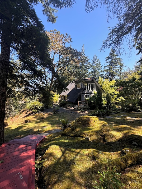 A house surrounded by dense forest with a clear sky.