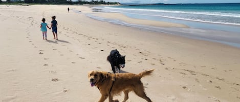 Beach nearby, beach towels