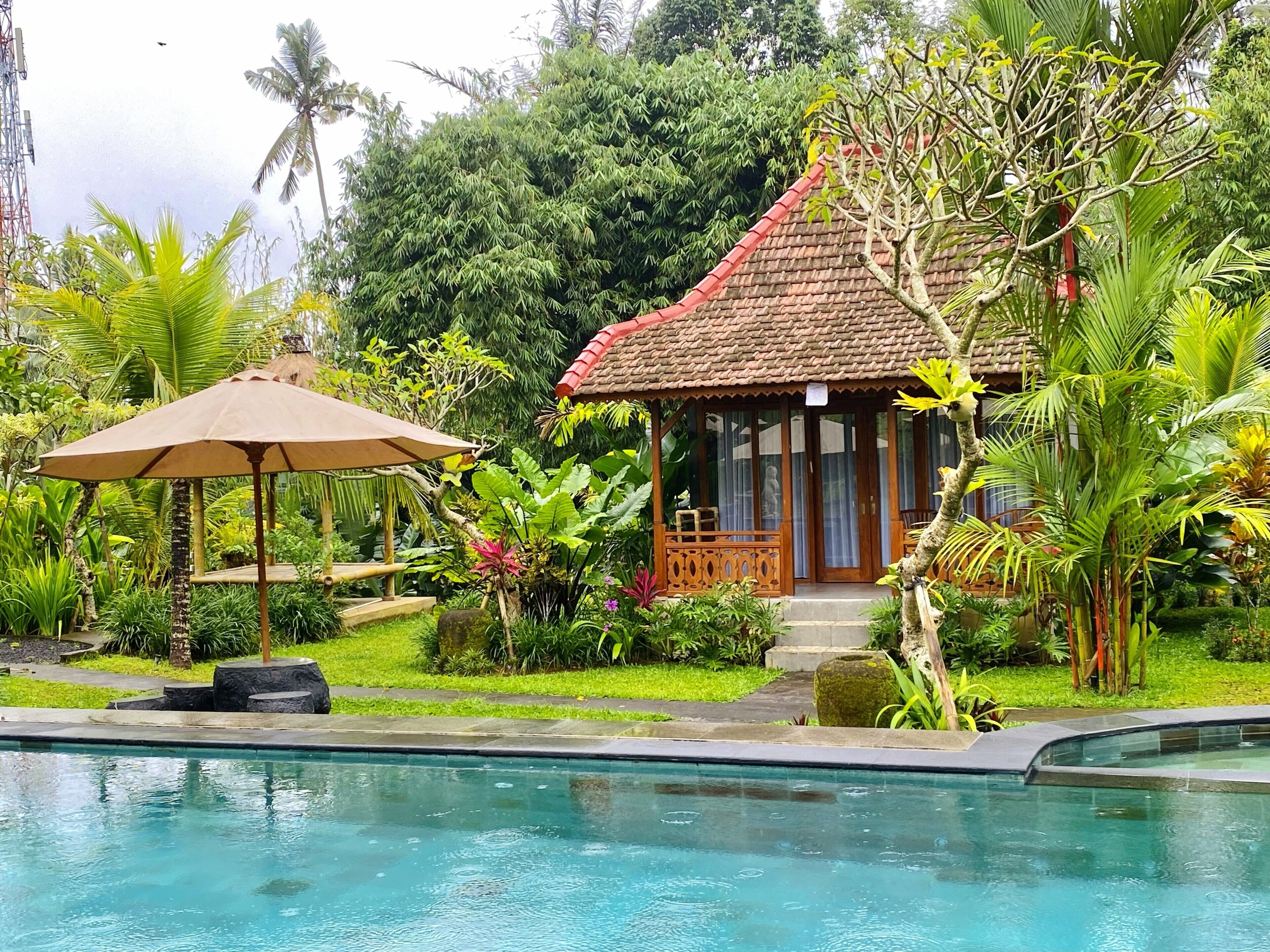 Premier Room, Pool View | View from room