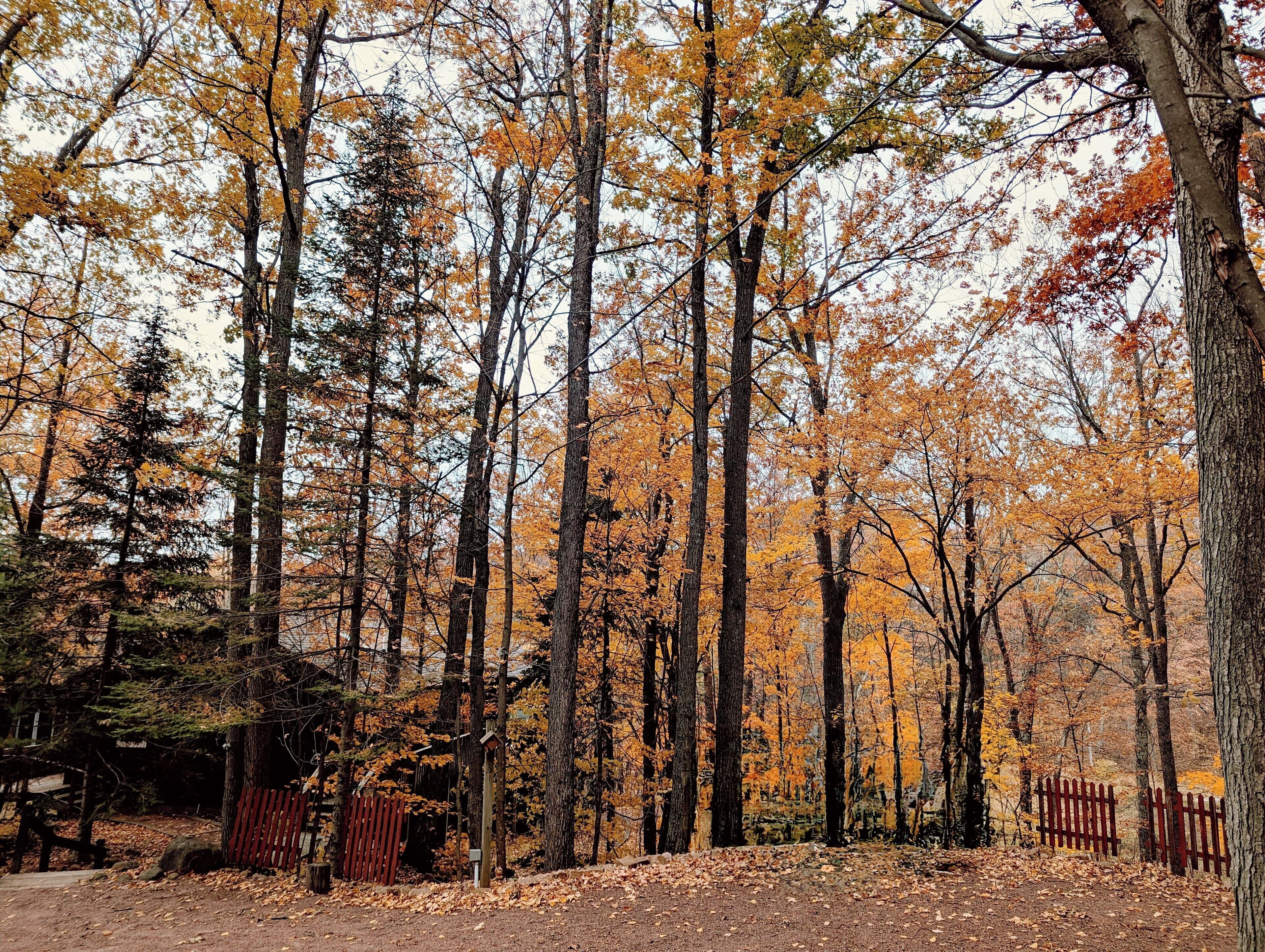 Miscellaneous