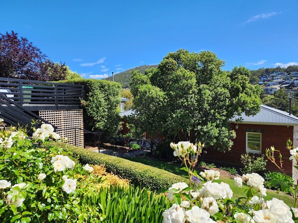 Property grounds - Bowen Toft House- eco home from home (South Hobart)