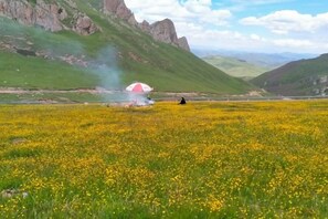 Un champ parsemé de fleurs jaunes et, au loin, une tente.