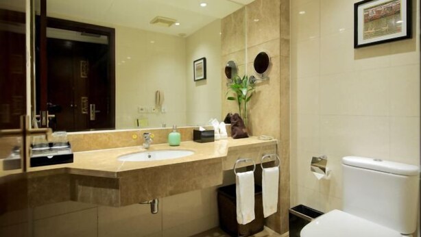 A modern bathroom with a large mirror, a sink, a toilet, and a trash bin. - GOLD RIVER-SIDE HOTEL WUZHEN (Tongxiang)