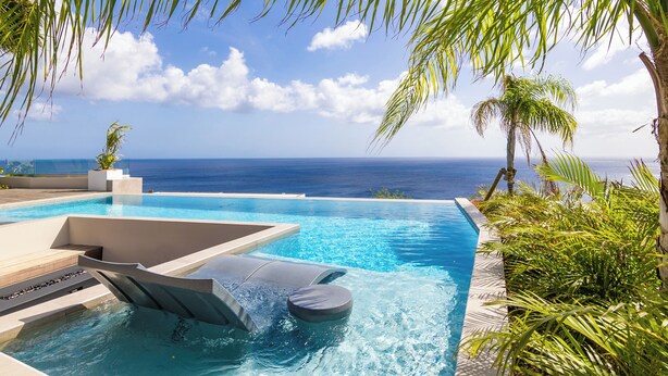 Una piscina con vista al océano, rodeada de palmeras y un cielo despejado.