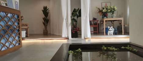 Sala de estar moderna com uma mesa de centro de vidro, um cão branco e um vaso de planta.