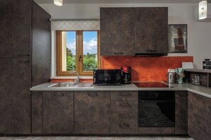 Family Villa, 3 Bedrooms (Countryside Villa Katarina) | Private kitchen | Fridge, microwave, oven, stovetop - Villa Erla (Sveta Nedelja)