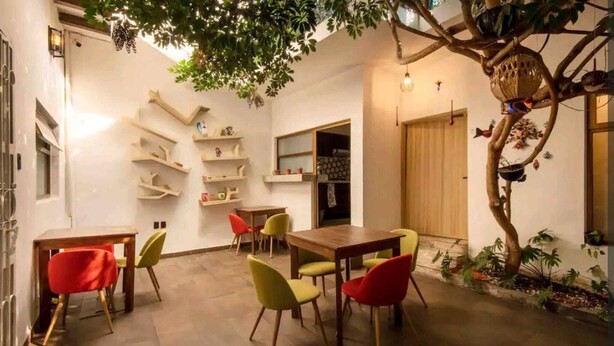 Una habitación con una mesa de comedor, sillas, una planta colgante y estantes empotrados.