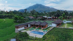 A resort with multiple bungalow-style buildings, a swimming pool, and terraced fields in the background. - D Sila’s Tepi Danu Villas Kintamani & Natural hot spring (Kintamani)