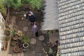Una persona baja una escalera de piedra adornada con macetas.