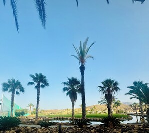 Property grounds - Sun filled newly refurbished family sized apartment with sweeping valley views (Vera)