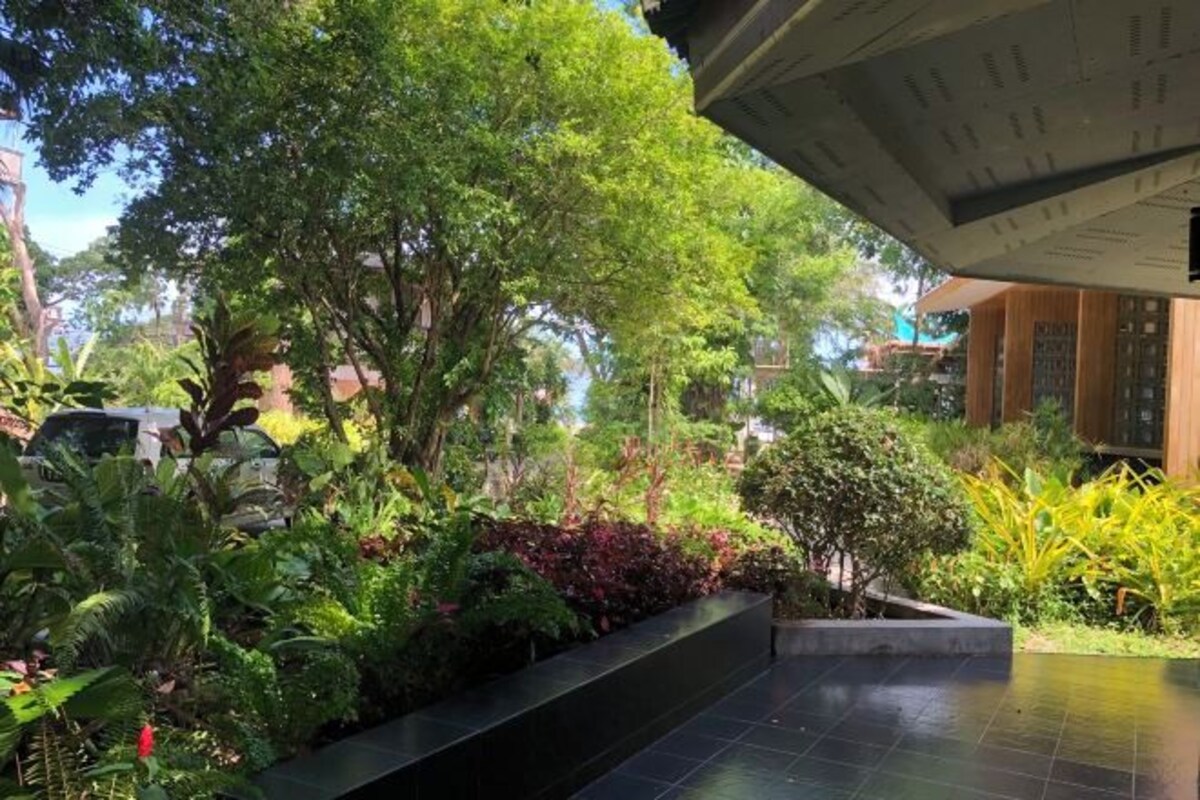A lush garden area with various plants and a paved walkway.