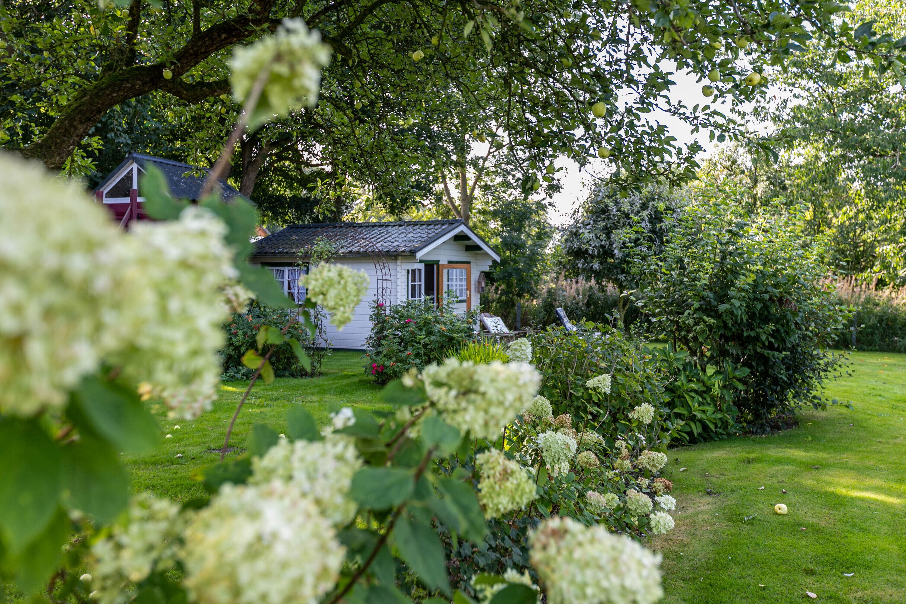 Jardines del alojamiento