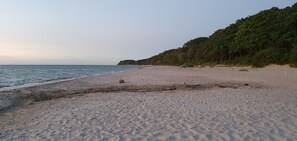 Ein Strand mit Sand, Wasser und einem bewaldeten Hügel.