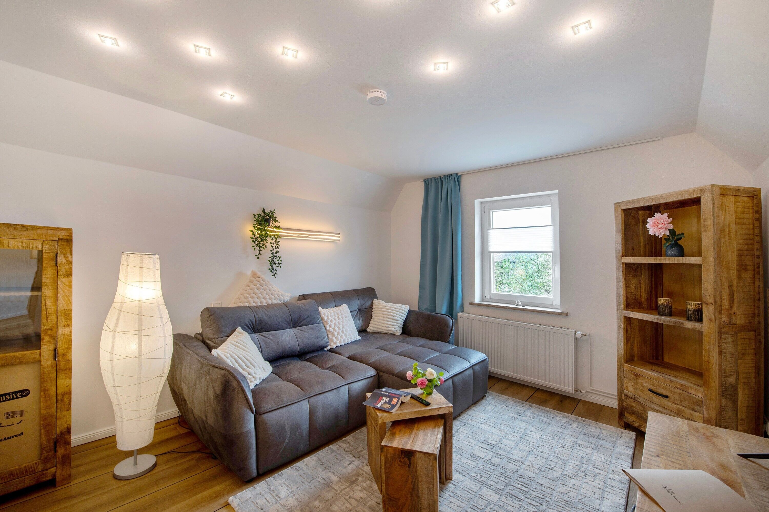 Televisie en een tafeltennistafel