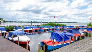 Een steiger met verschillende boten afgedekt met blauwe zeilen, een houten aanlegsteiger en een bewolkte lucht.