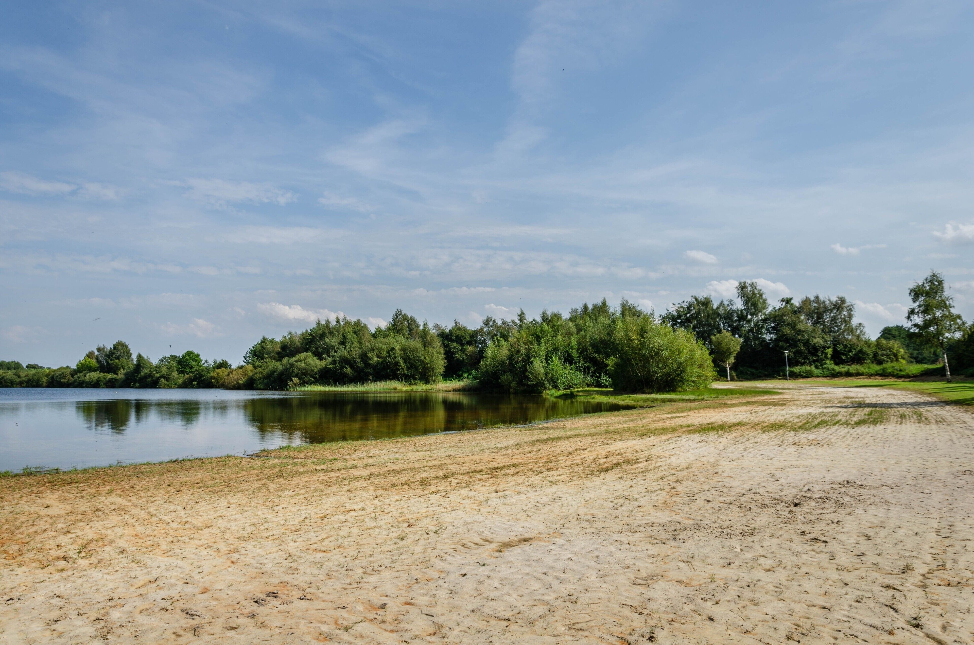 Une plage de sable bordée d’un lac paisible, avec une forêt dense en arrière-plan.