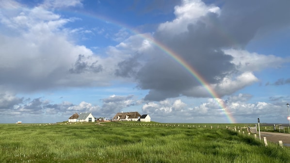 A rural landscape with a rainbow, grassy fields, and a row of white houses with thatched roofs.