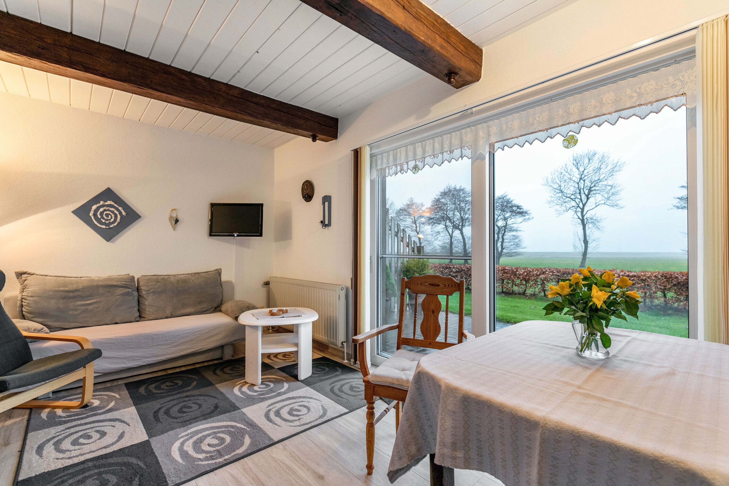 Fernseher, Tischtennisplatte