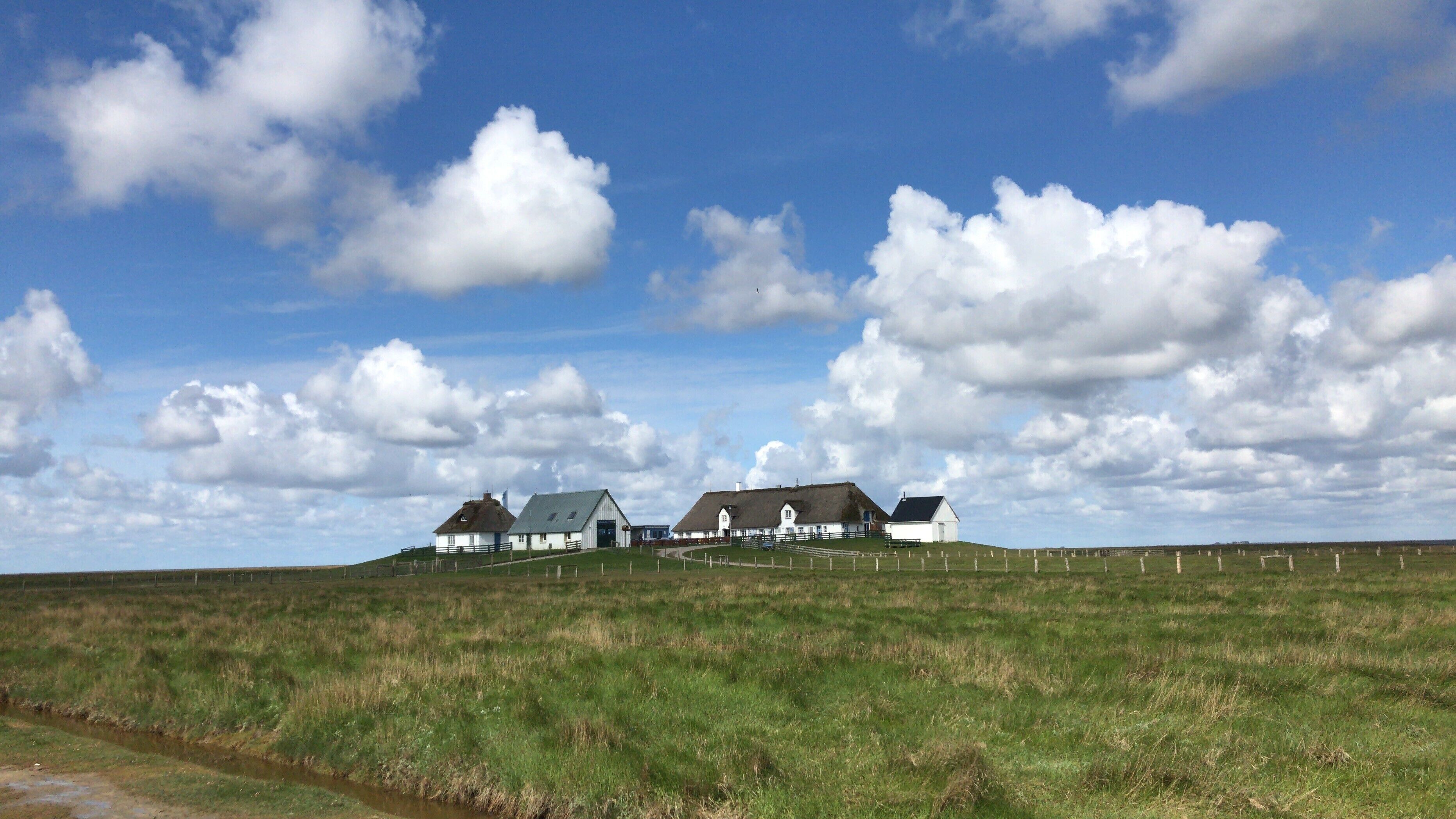 A rural landscape with a farmhouse, a barn, and a fenced field.