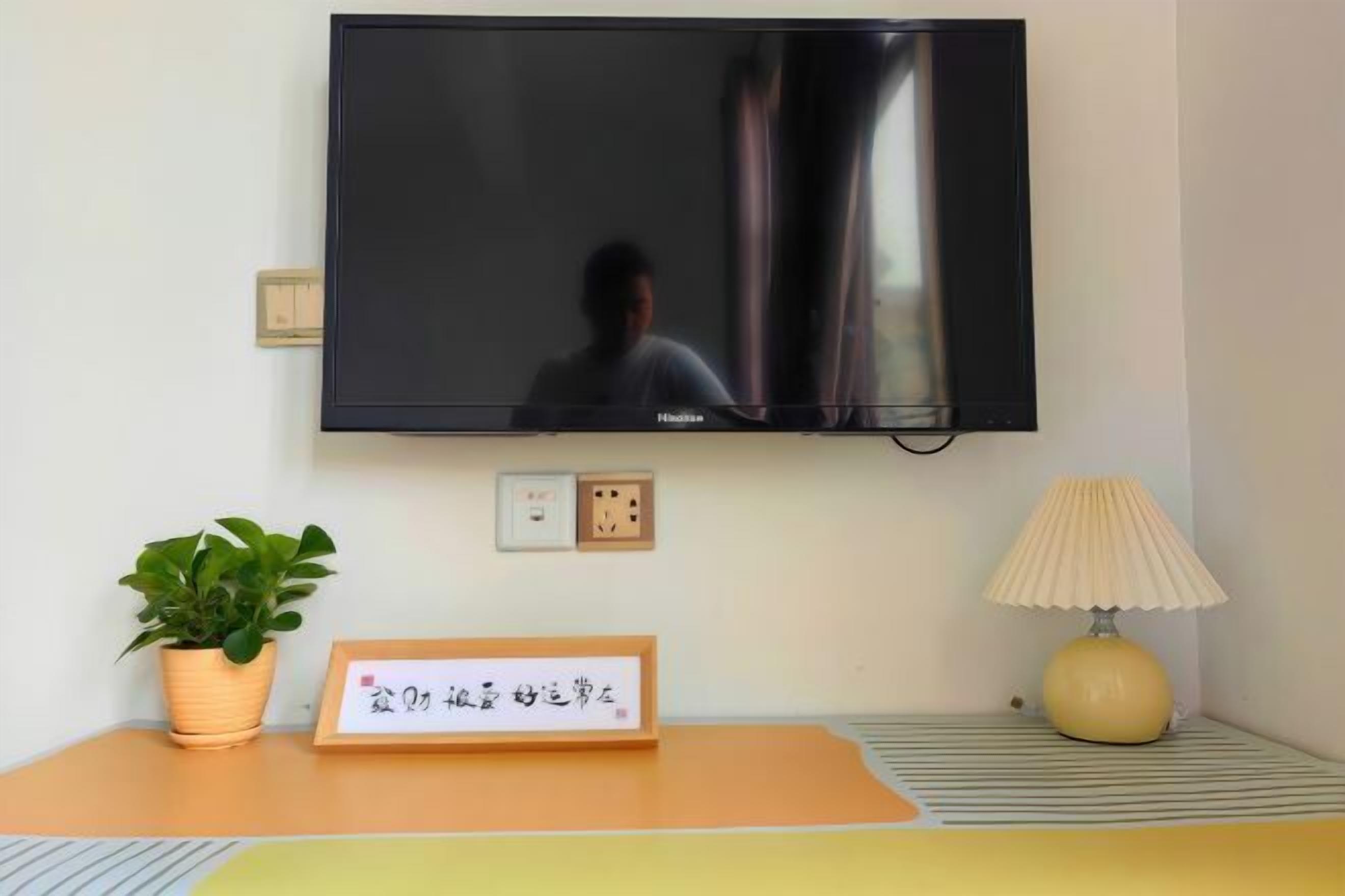 A television mounted on a wall, a potted plant, a framed sign, a lamp, and a power outlet.
