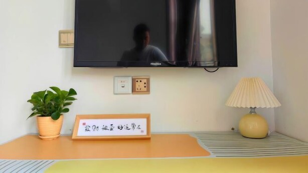 A television mounted on a wall, a potted plant, a framed sign, a lamp, and a power outlet.