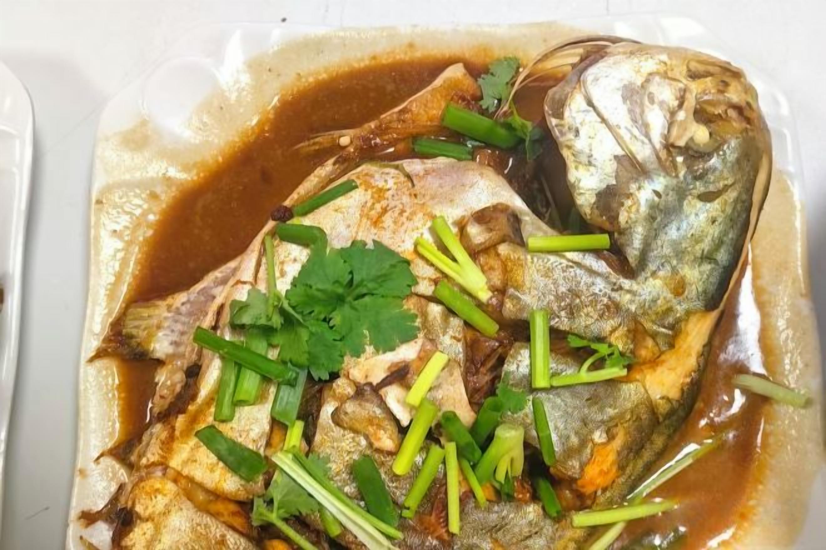 A fish dish with garnish and sauce.