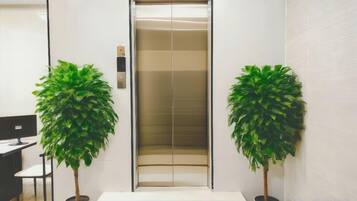 An elevator with a modern design, flanked by two potted plants.