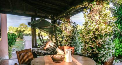 A quiet corner in the Roman countryside, among olive trees and vineyards.