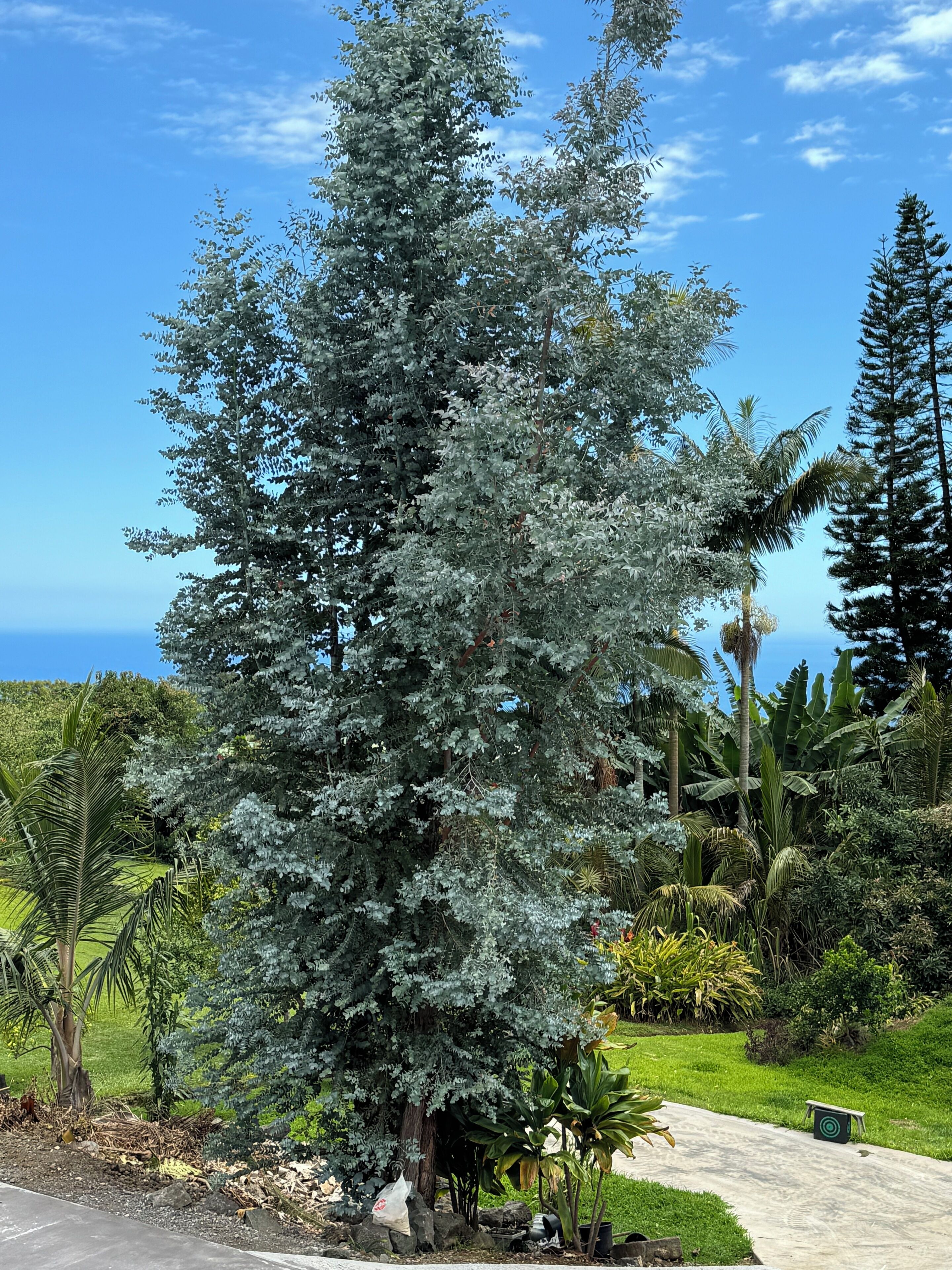 Lovely 2-bedroom house with WiFi in Kealakekua