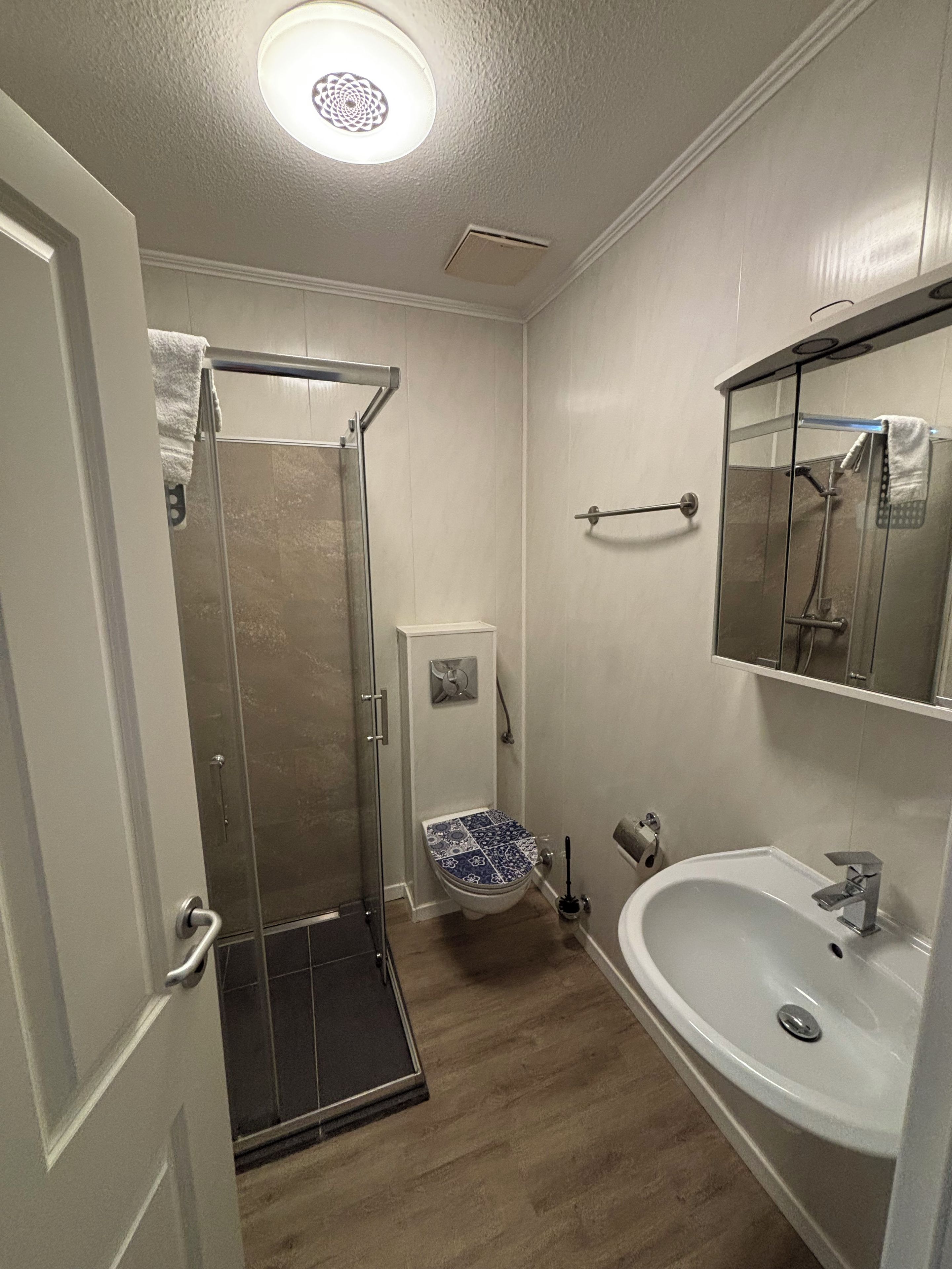 Un baño con cabina de ducha de vidrio, inodoro con asiento estampado azul y lavabo blanco con espejo superior.