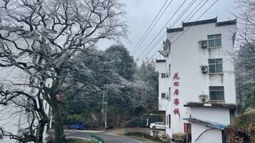 A residential street with a white building, a tree with bare branches, and a blue object on the ground.
